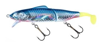 Jaxon Wobler Holo Select Gerit - 11,0+3,0cm / F / SN