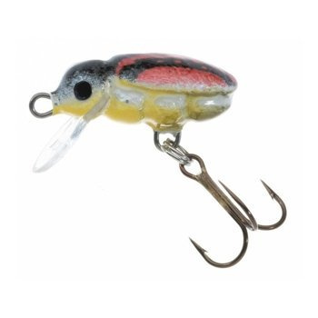 Jaxon Wobler H.S. Beetle - 2,5cm / F / DU