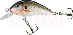 Jaxon Wobler HS Golbat F 3,5cm / DA