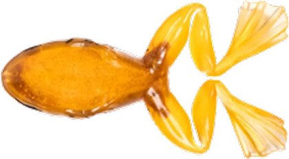 LIVE TARGET Freestyle Frog/Frog 2.0 Orange/Brown 7.5 cm - 1 pc.  Floating