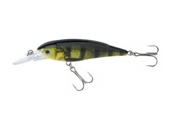 Jaxon Wobler Atract XXT-F - 8,0cm / F / C
