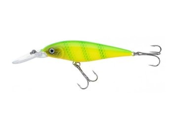 Jaxon Wobler Atract XXT-G - 8,0cm / FS / D