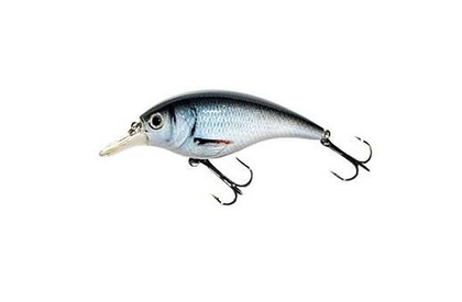Jaxon Wobler Atract XXT-B - 7,0cm / F