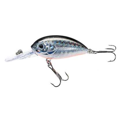 Jaxon Wobler Atract Aris - 4,0cm / J