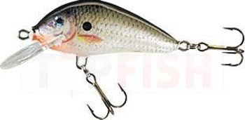 Jaxon Wobler HS Golbat F 3,5cm / DA