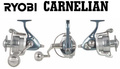 RYOBI CARNELIAN 12000 KOŁOWROTEK
