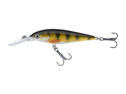 Jaxon Wobler Atract XXT-G - 8,0cm / FS / A