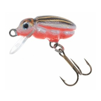 Jaxon Wobler H.S. Beetle - 2,5cm / F / CU