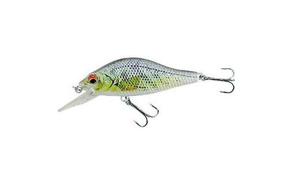 Jaxon Wobler Atract XXT-D - F-7,0cm-K