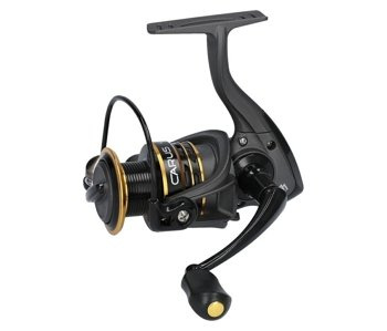 Mikado Reel Carus 2006 FD