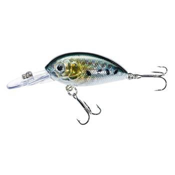 Jaxon Wobler Atract Aris - 4,0cm / C
