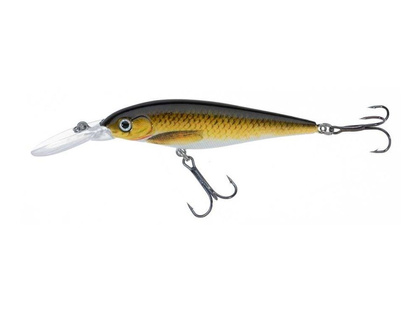 Jaxon Wobler Atract XXT-G - 8,0cm / FS / I