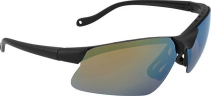 Polarized Sunglasses Dragon