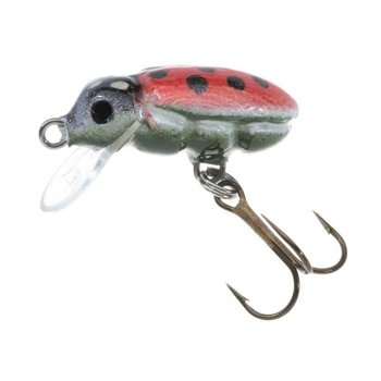Jaxon Wobler H.S. Beetle - 2,5cm / F / AU