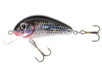 Jaxon Wobler HS Golbat F 3,5cm / SL