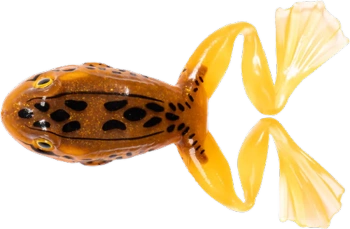 LIVE TARGET Freestyle Frosch/Frosch 2.0 Orange/Braun 6 cm - 1 Stk.  Schwimmend