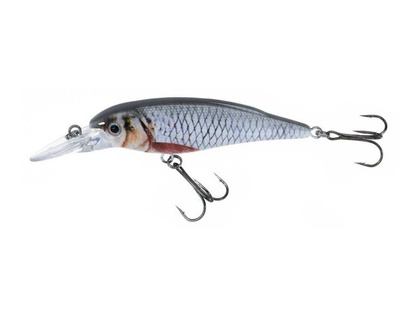 Jaxon Wobler Atract XXT-F - 8,0cm / F / B