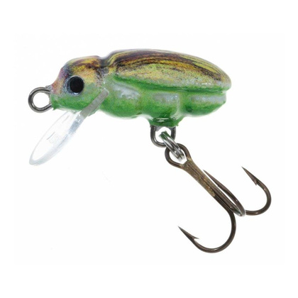 Jaxon Wobler H.S. Beetle - 2,5cm / F / BU
