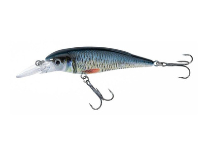 Jaxon Wobler Atract XXT-F - 8,0cm / F / F
