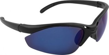 Polarized Sunglasses Dragon
