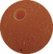 Jaxon Mini Boilies Bloodworm - 50g / 9mm