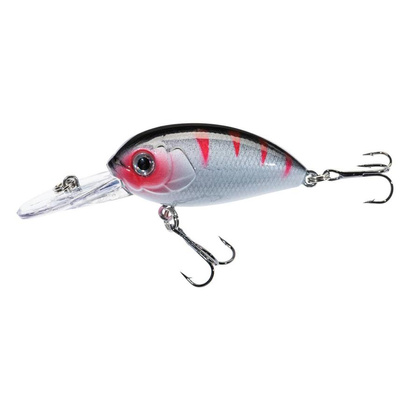 Jaxon Wobler Atract Aris - 4,0cm / G