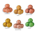 Carp Zoom Kulki Fire Shot Owocowy Mix - 120g / 16mm