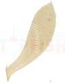 Owner Yuki Bug - 17 / 10,0cm