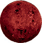 Jaxon Method Ground Boilies Bloodworm - 1kg / 16mm