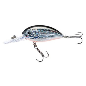 Jaxon Wobler Atract Aris - 4,0cm / J