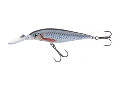 Jaxon Wobler Atract XXT-G - 8,0cm / FS / B