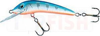 8,0cm