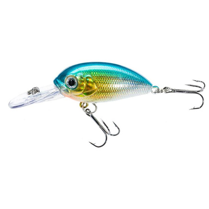 Jaxon Wobler Atract Aris - 4,0cm / I