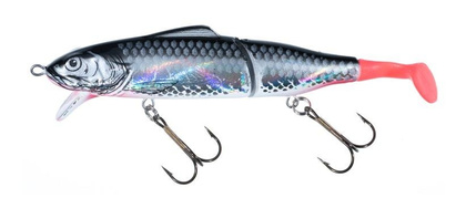 Jaxon Wobler Holo Select Gerit - 11,0+3,0cm / F / SC