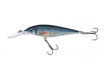 Jaxon Wobler Atract XXT-G - 8,0cm / FS / F