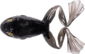 LIVE TARGET Freestyle Frog/Frog 2.0/7.5 cm - 1 pc.  Floating