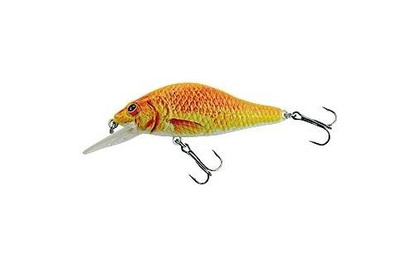 Jaxon Wobler Atract XXT-D - F-5,0cm-F
