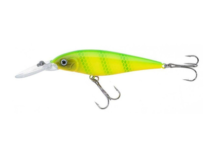 Jaxon Wobler Atract XXT-G - 8,0cm / FS / D