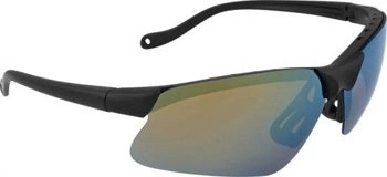 Polarized Sunglasses Dragon