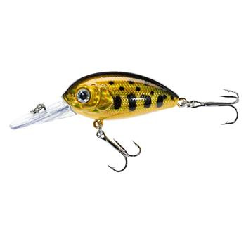 Jaxon Wobler Atract Aris - 4,0cm / B