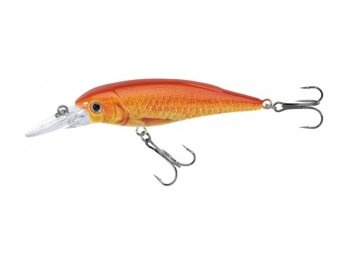 Jaxon Wobler Atract XXT-F - 8,0cm / F / G