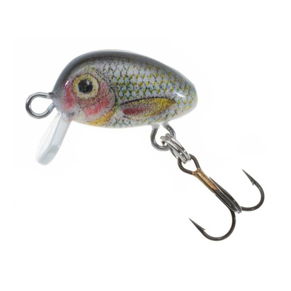 Jaxon Wobler H.S. Micron - 2,0cm / S / DW