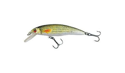 Jaxon Wobler Atract XXT-E - F-5,0cm-L
