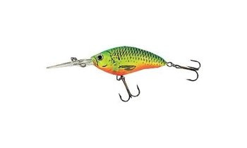 Jaxon Wobler HS Spirit - 7,0cm / DR / ZA