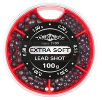 A - 100g