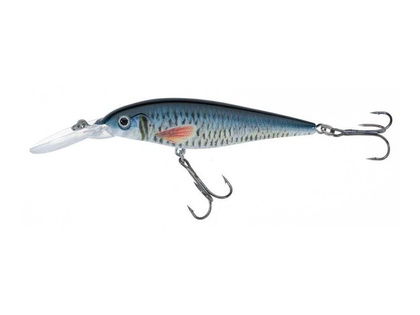 Jaxon Wobler Atract XXT-G - 8,0cm / FS / F