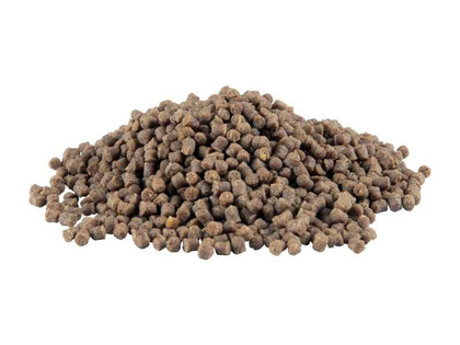 Dragon Magnum Pellet Zanętowy Premium Wędzona Kiełbasa - 2mm / 500g