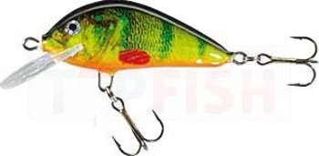 Jaxon Wobler HS Golbat F 3,5cm / OM