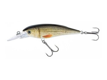 Jaxon Wobler Atract XXT-F - 8,0cm / F / L