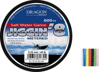 Dragon Braid Salt Water Game Jiggin8 600m - 0.25mm - 40 lb